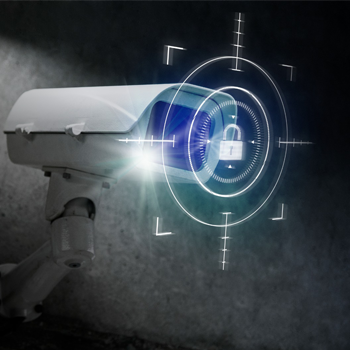 videovigilancia
